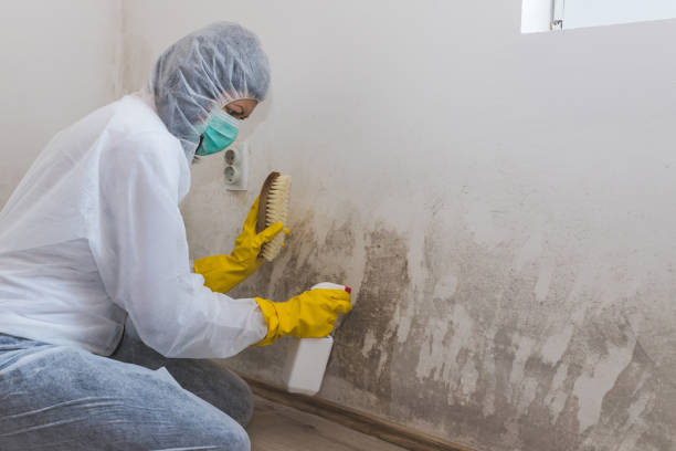 Mold Remediation for Rental Properties in Newburg, WI